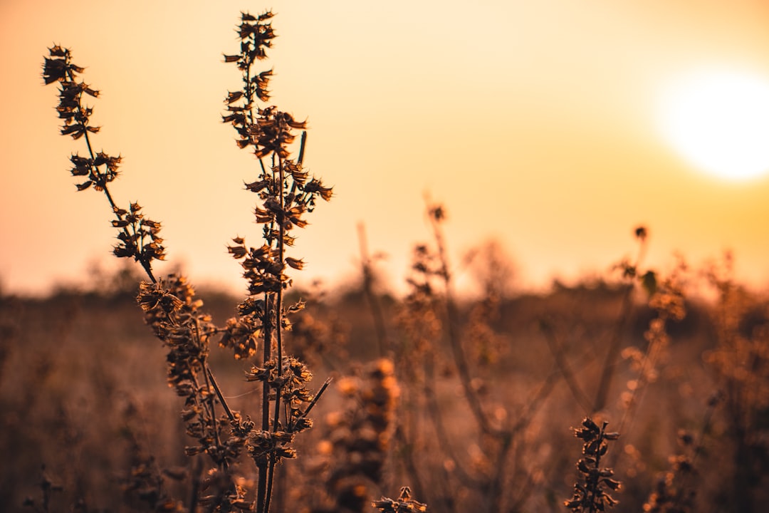Good Morning Thursday: Embracing a New Day