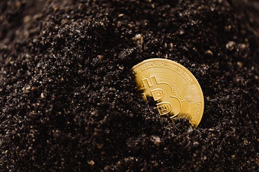 Bitcoin USDT: Navigating the Tether-Bitcoin Tango